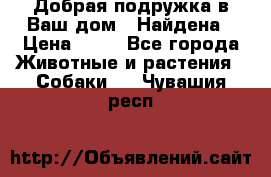 Добрая подружка,в Ваш дом!!!Найдена › Цена ­ 10 - Все города Животные и растения » Собаки   . Чувашия респ.